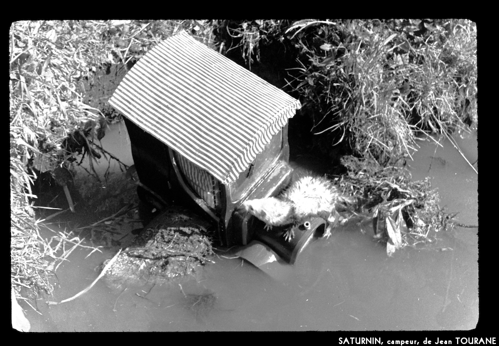 image: This is ‘
saturnin, campeur 11
’.