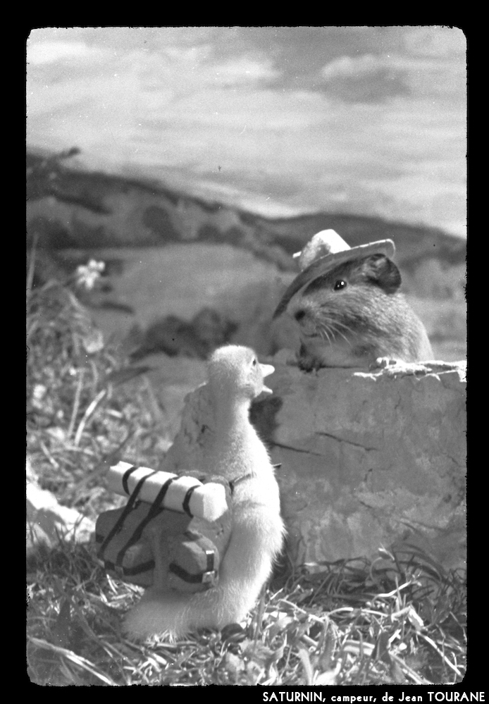 image: This is ‘
saturnin, campeur 12
’.