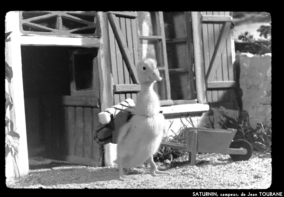 image: This is ‘
saturnin, campeur 4
’.