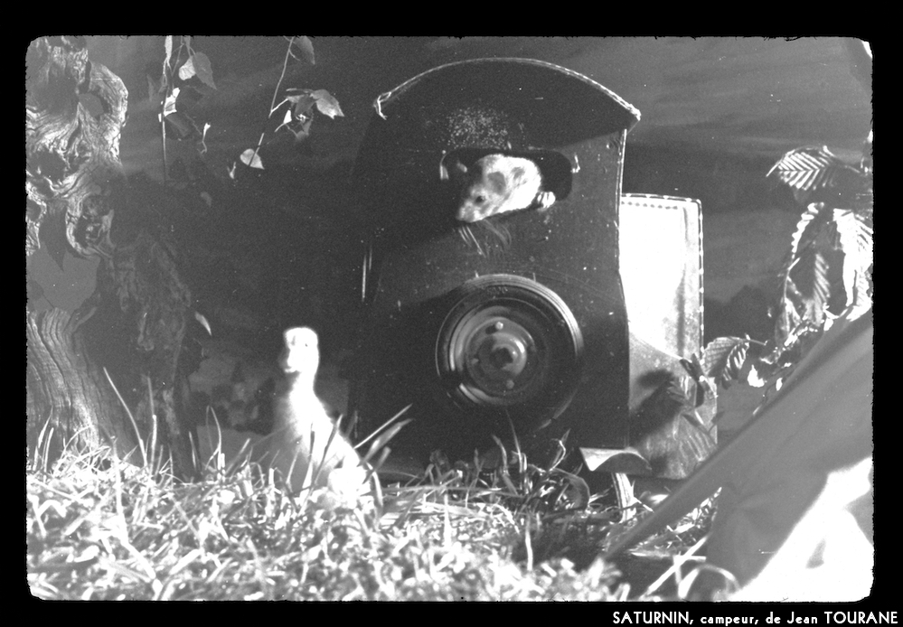image: This is ‘
saturnin, campeur 10
’.