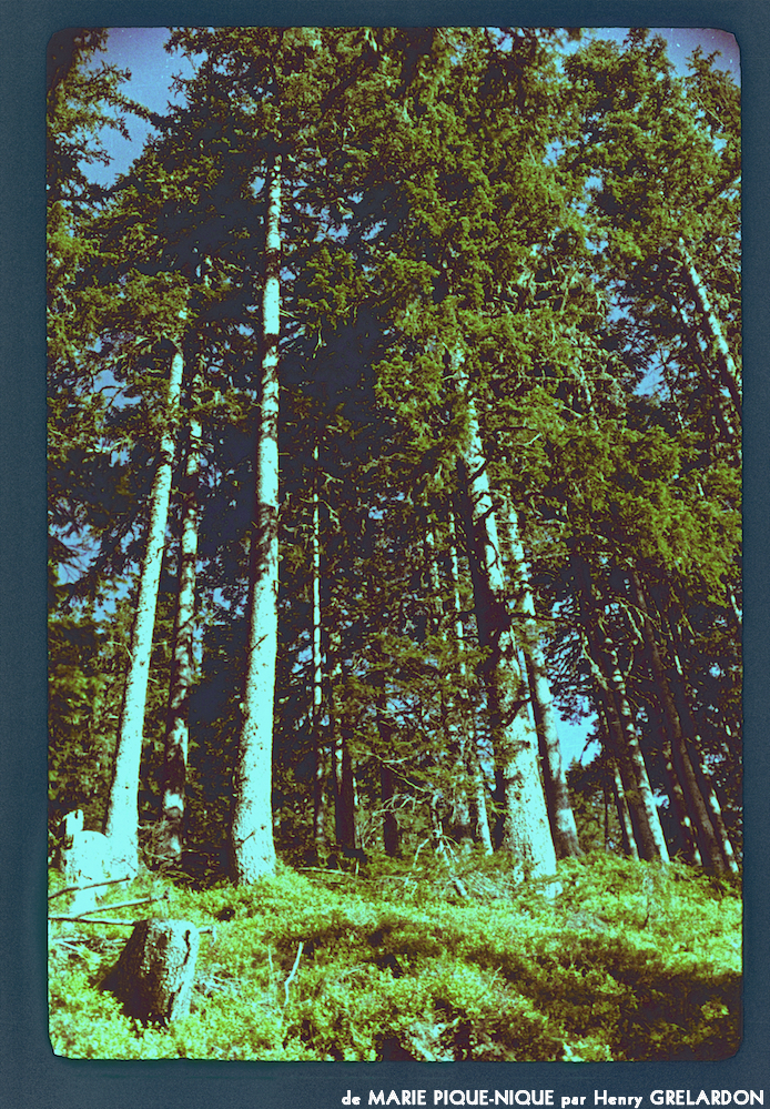 image: This is ‘
marie pique–nique 13
’.