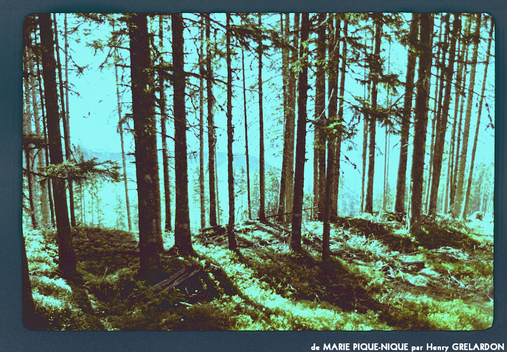 image: This is ‘
marie pique–nique 14
’.