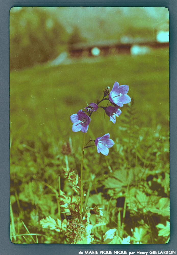 image: This is ‘
marie pique–nique 2
’.