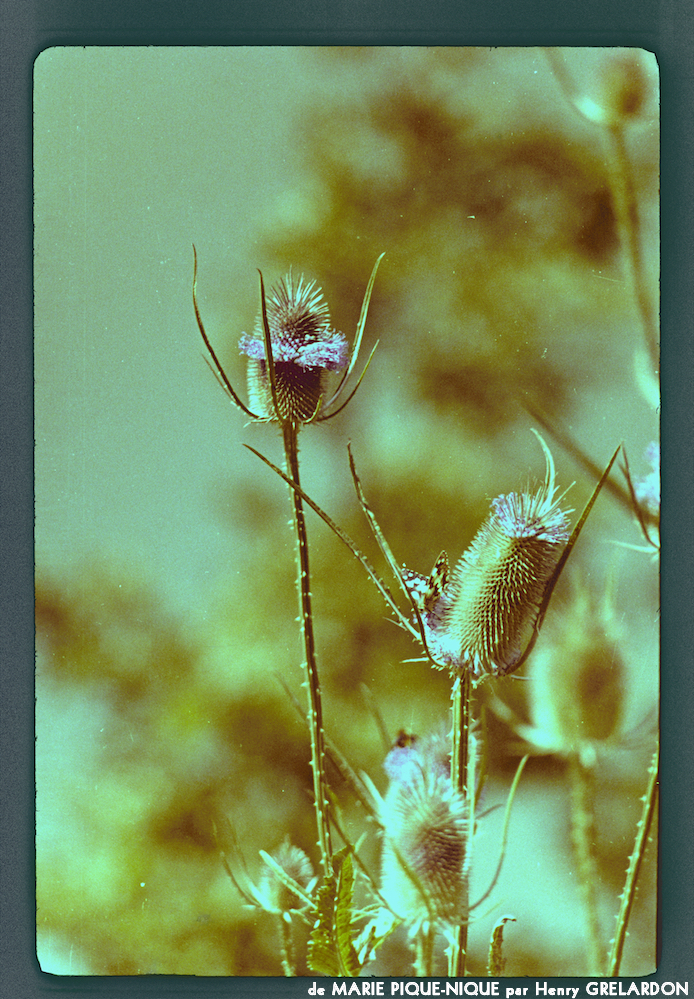 image: This is ‘
marie pique–nique 3
’.