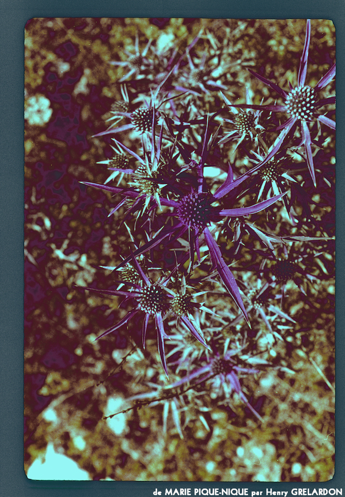 image: This is ‘
marie pique–nique 4
’.