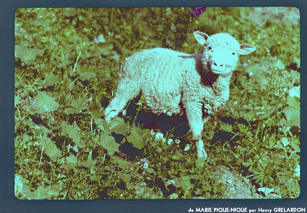 image: This is ‘
marie pique–nique 8
’.