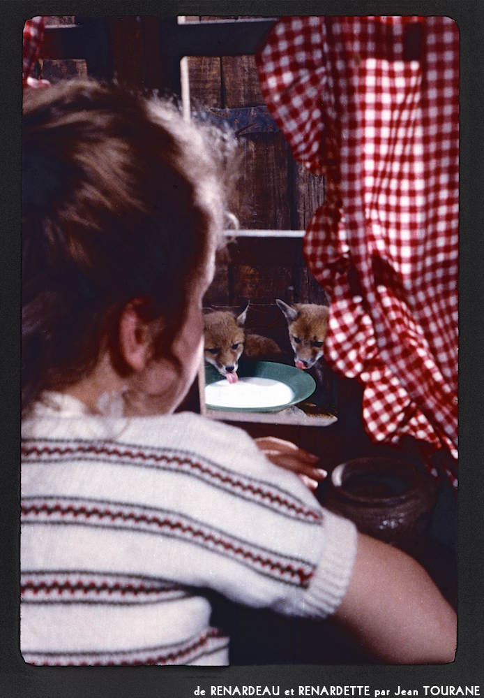 image: This is ‘
renardeau et renardette 8
’.