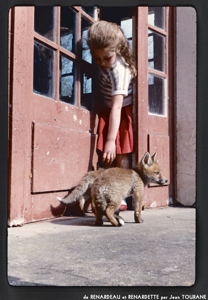 image: This is ‘
renardeau et renardette 9
’.