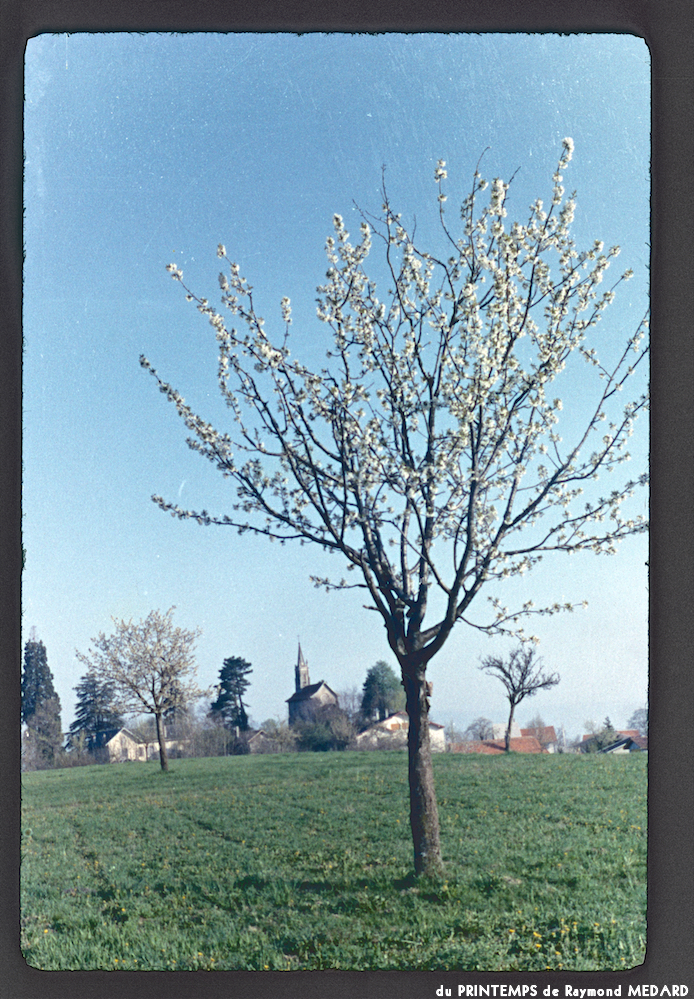 image: This is ‘
le printemps 1
’.