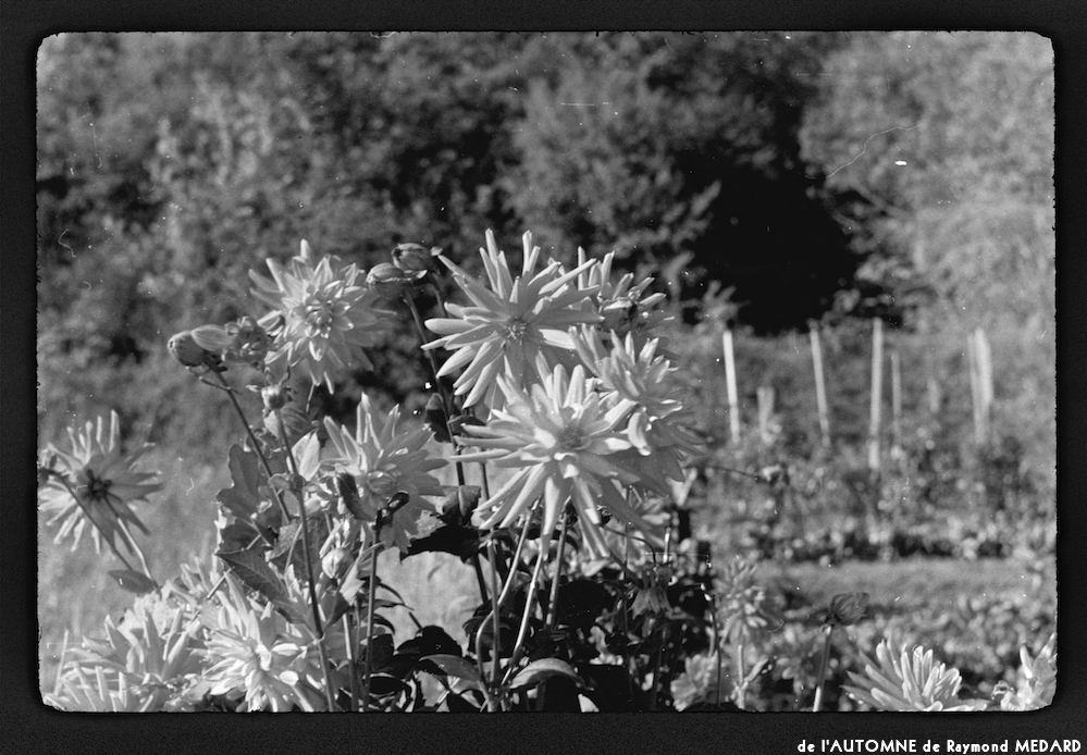 image: This is ‘
l’automne 10
’.