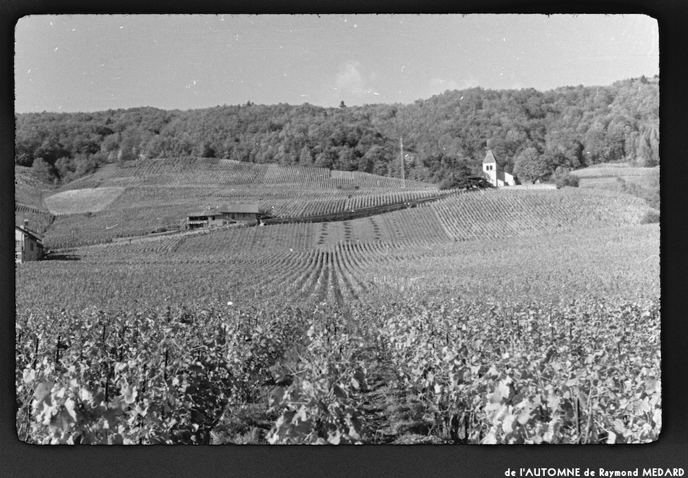 image: This is ‘
l’automne 12
’.