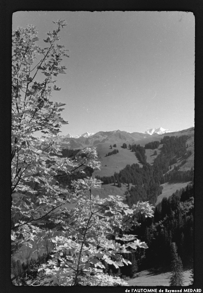 image: This is ‘
l’automne 13
’.