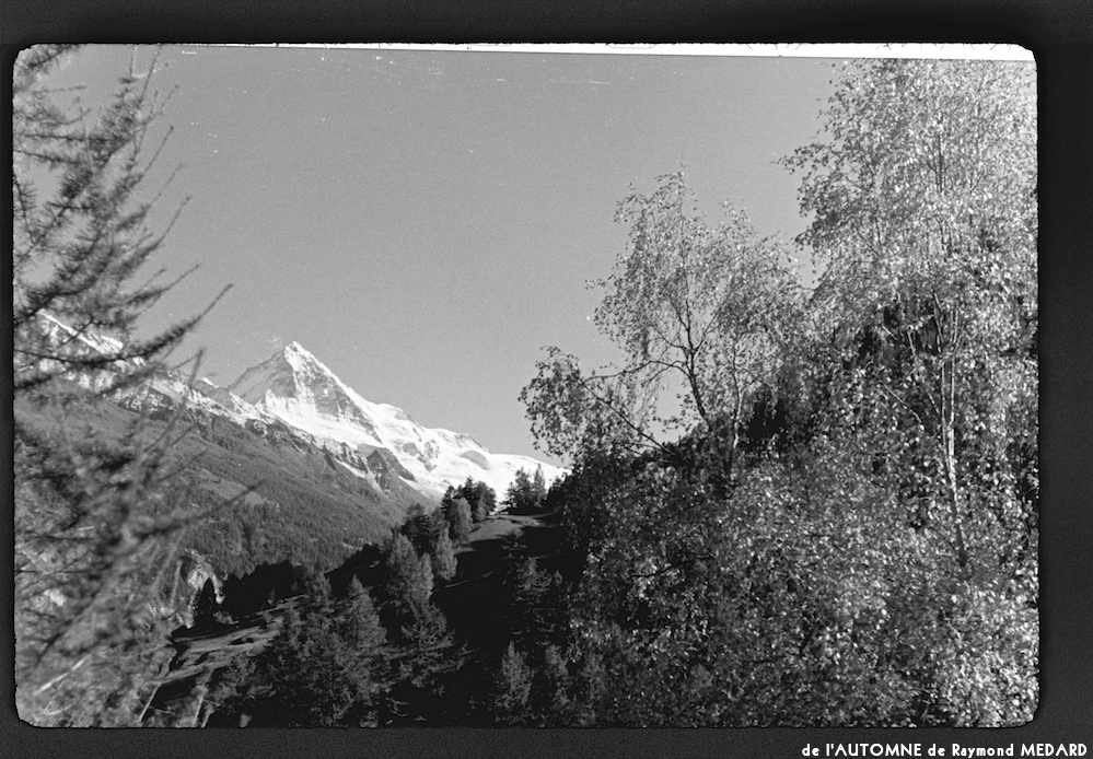 image: This is ‘
l’automne 15
’.