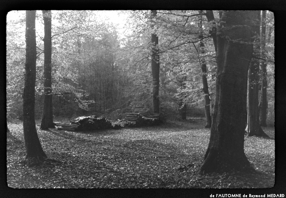 image: This is ‘
l’automne 16
’.