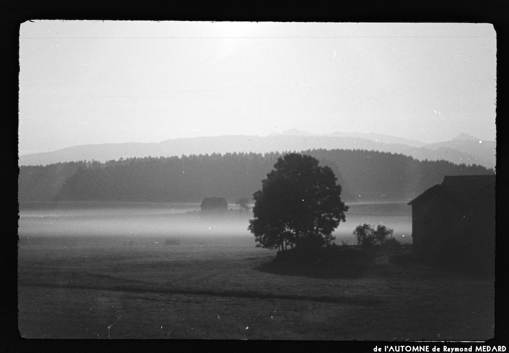 image: This is ‘
l’automne 17
’.