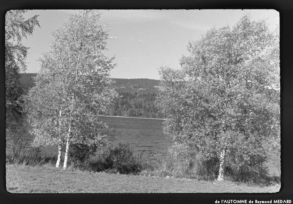 image: This is ‘
l’automne 4
’.