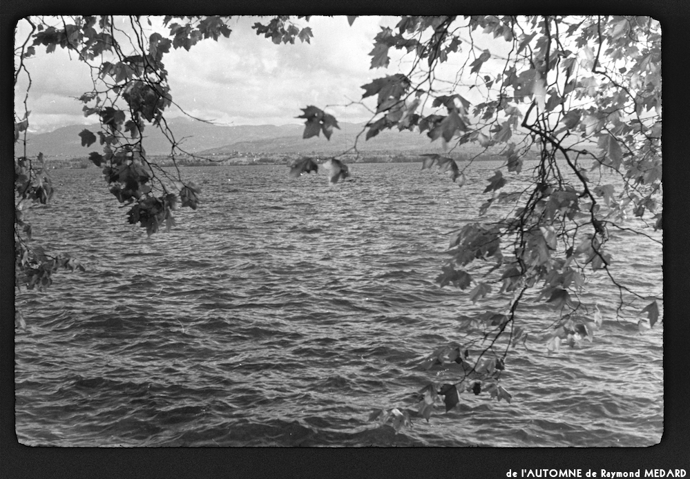 image: This is ‘
l’automne 5
’.