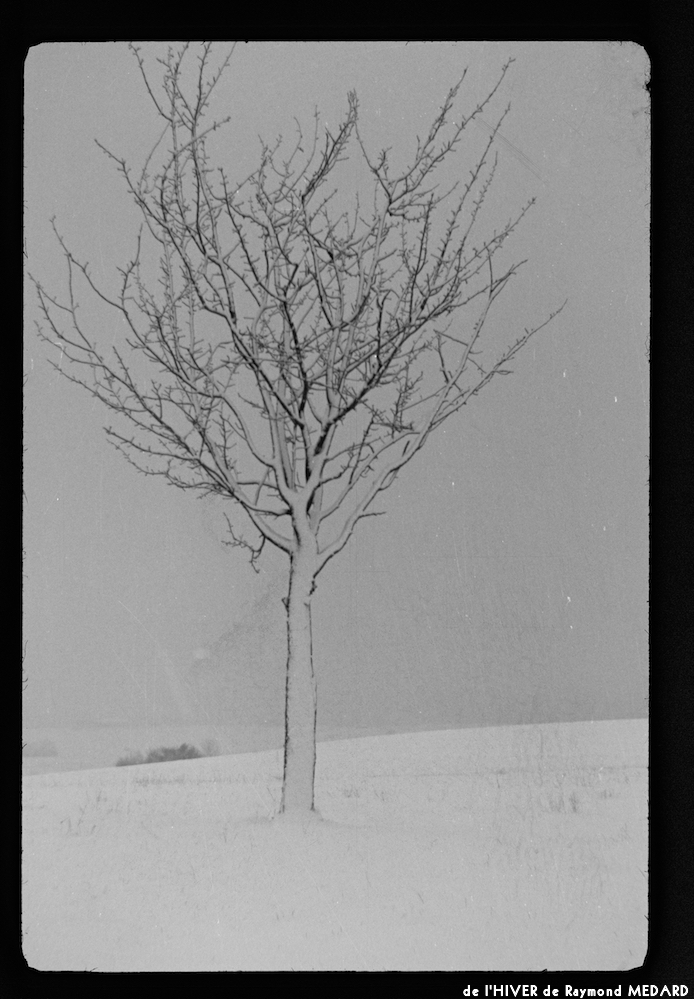 image: This is ‘
l’hiver 11
’.