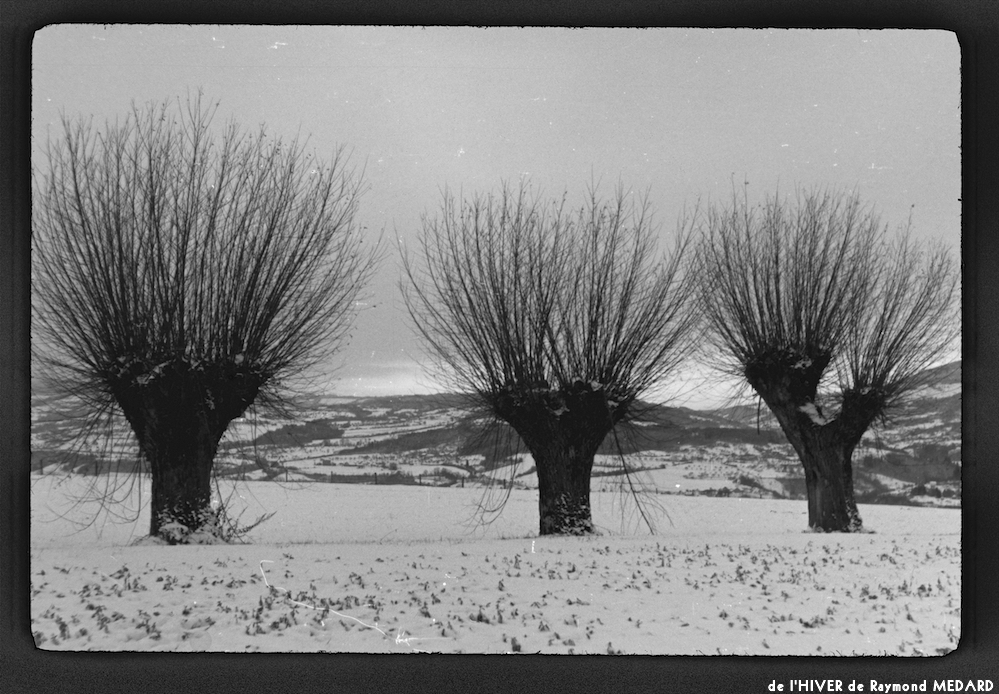 image: This is ‘
l’hiver 12
’.