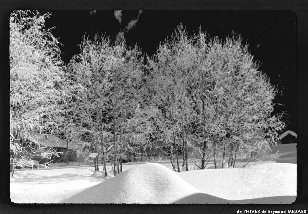 image: This is ‘
l’hiver 13
’.