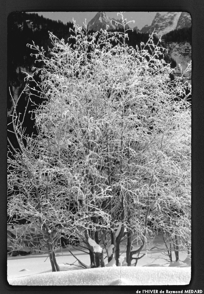 image: This is ‘
l’hiver 14
’.