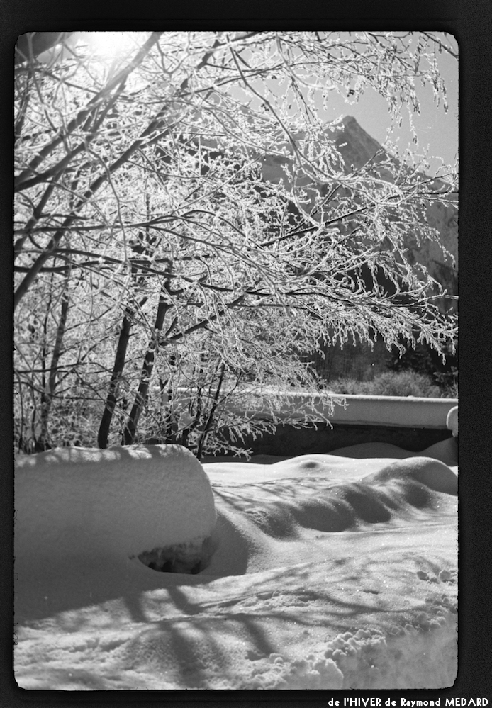 image: This is ‘
l’hiver 15
’.