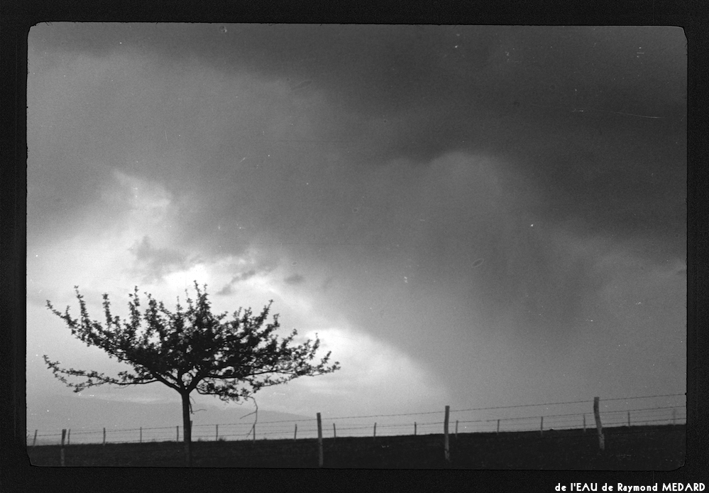 image: This is ‘
l’eau 1
’.