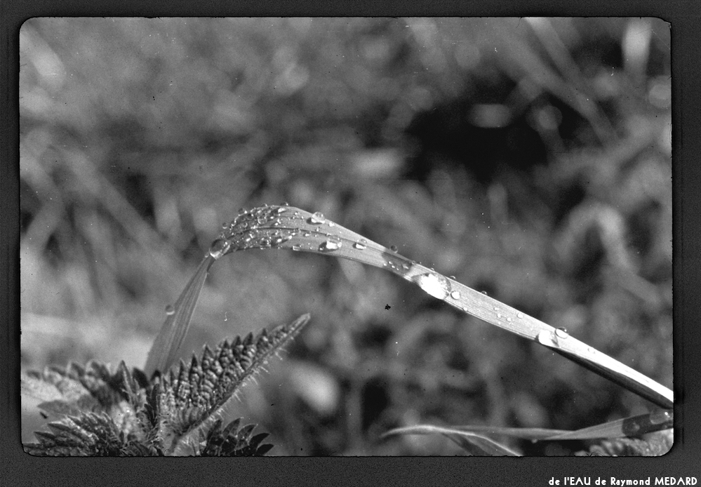 image: This is ‘
l’eau 15
’.