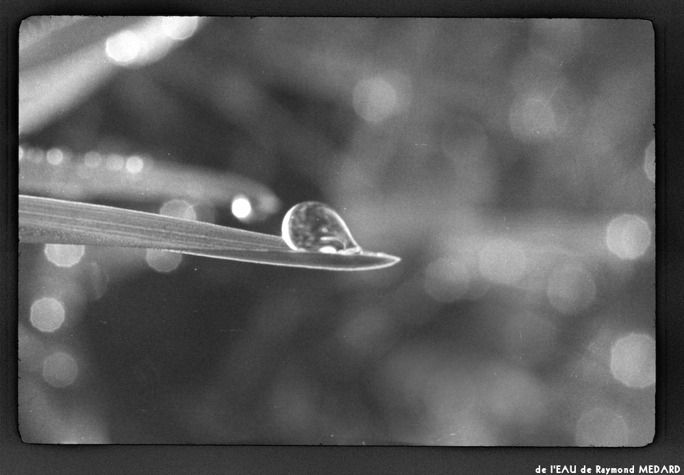 image: This is ‘
l’eau 16
’.