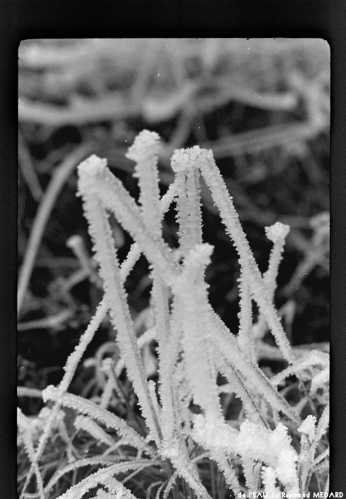 image: This is ‘
l’eau 17
’.