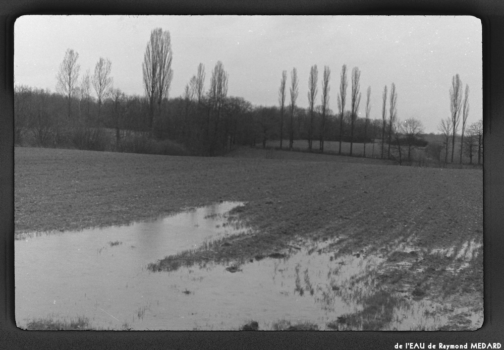 image: This is ‘
l’eau 3
’.