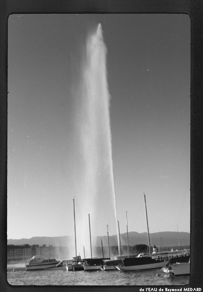 image: This is ‘
l’eau 5
’.