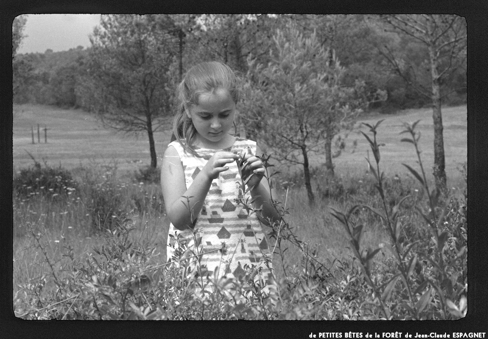 image: This is ‘
PETITES BÊTES de la FORÊT 1
’.