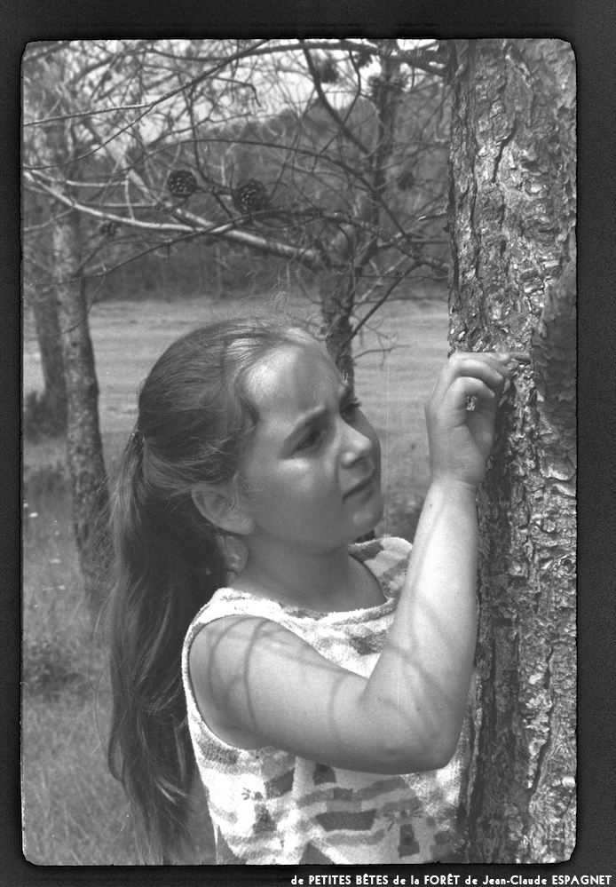 image: This is ‘
PETITES BÊTES de la FORÊT 10
’.