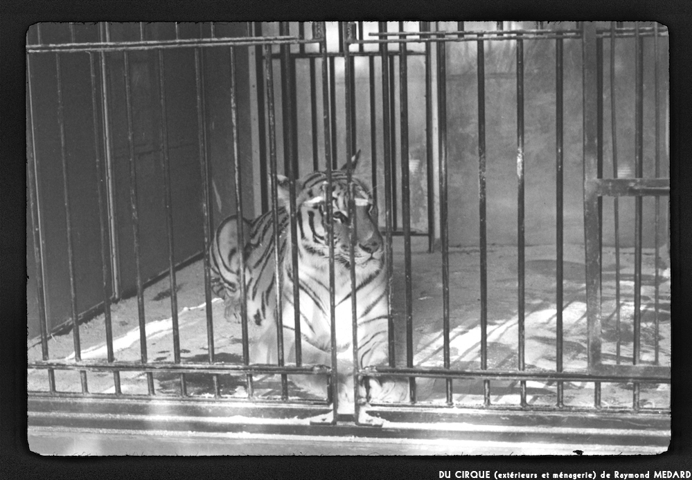 image: This is ‘
le cirque (extérieurs et ménagerie) 10
’.