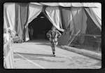 image: Image from the photoset ‘
le cirque (extérieurs et ménagerie)
’.