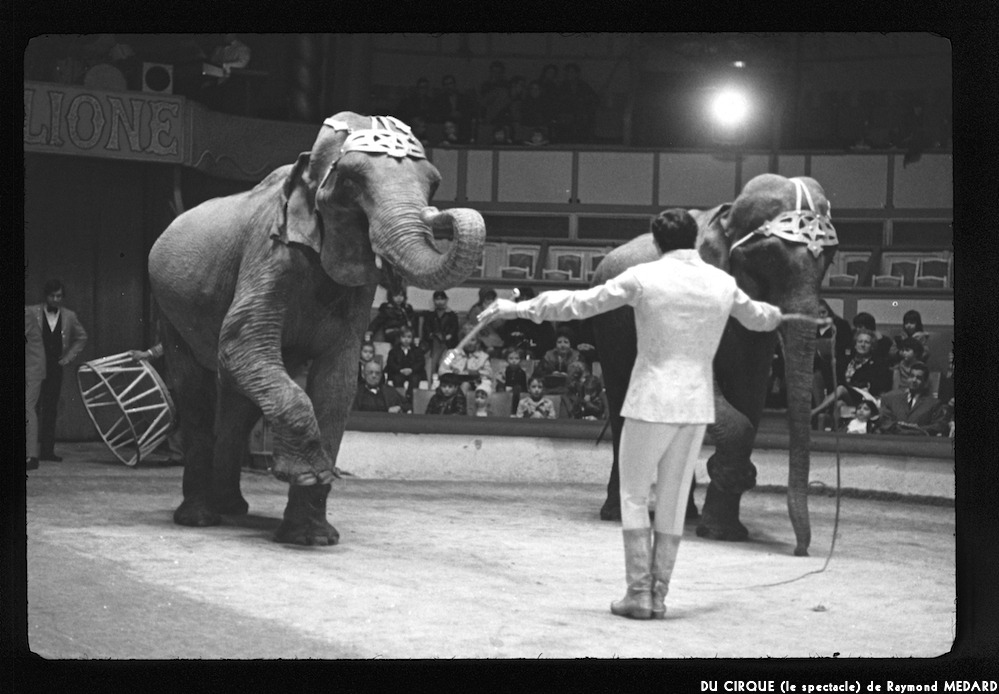 image: This is ‘
LE CIRQUE (le spectacle) 10
’.