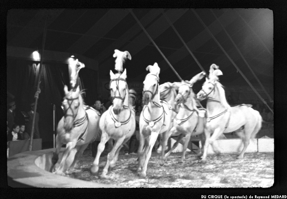 image: This is ‘
LE CIRQUE (le spectacle) 2
’.