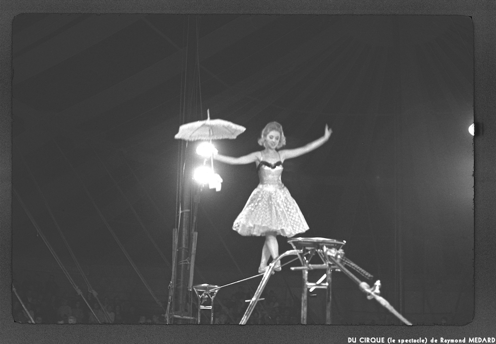 image: This is ‘
LE CIRQUE (le spectacle) 24
’.