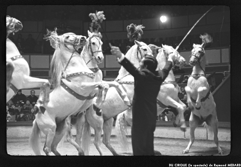 image: This is ‘
LE CIRQUE (le spectacle) 3
’.