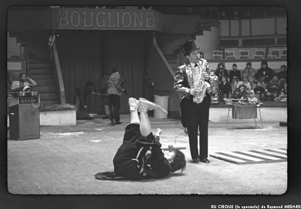 image: This is ‘
LE CIRQUE (le spectacle) 31
’.