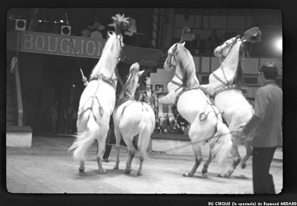 image: This is ‘
LE CIRQUE (le spectacle) 4
’.