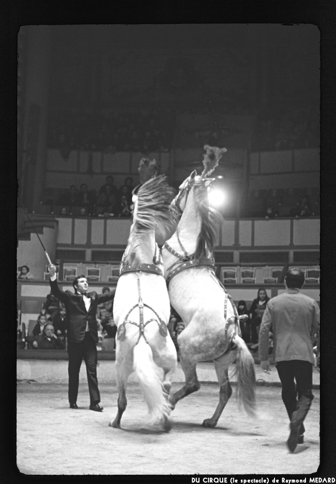 image: This is ‘
LE CIRQUE (le spectacle) 5
’.