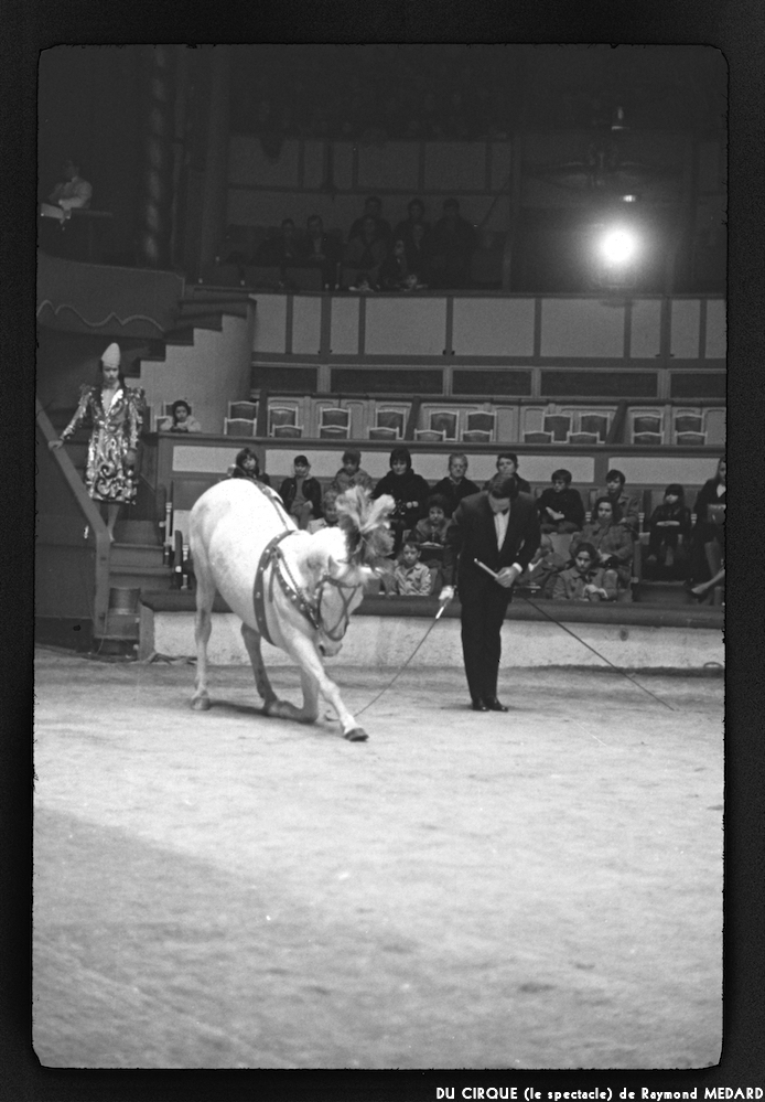 image: This is ‘
LE CIRQUE (le spectacle) 6
’.