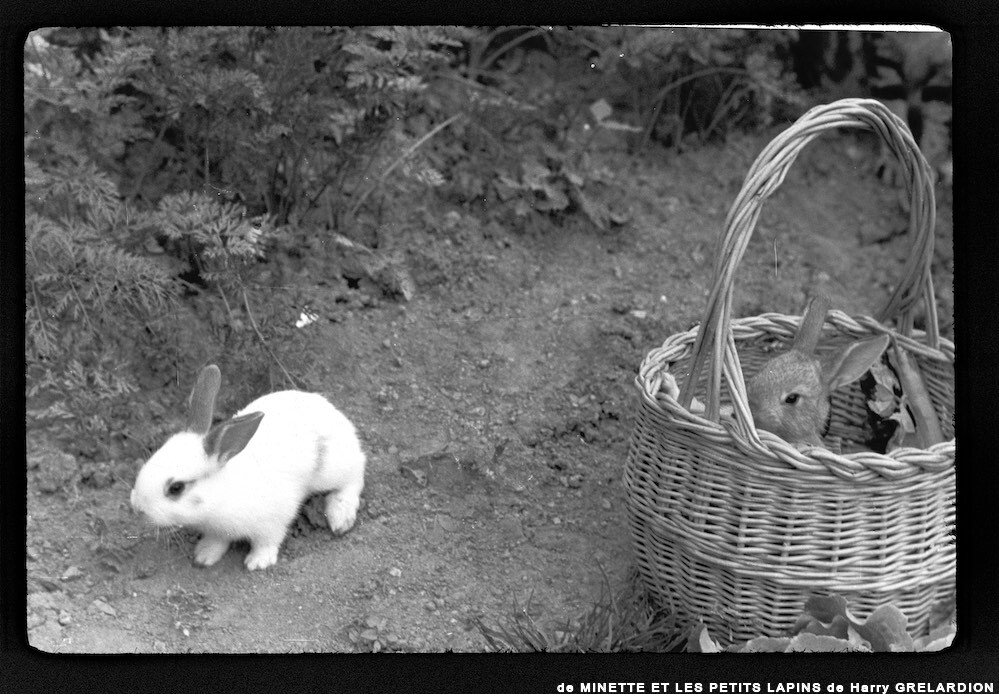 image: This is ‘
MINETTE ET LES PETITS PALINS 4
’.