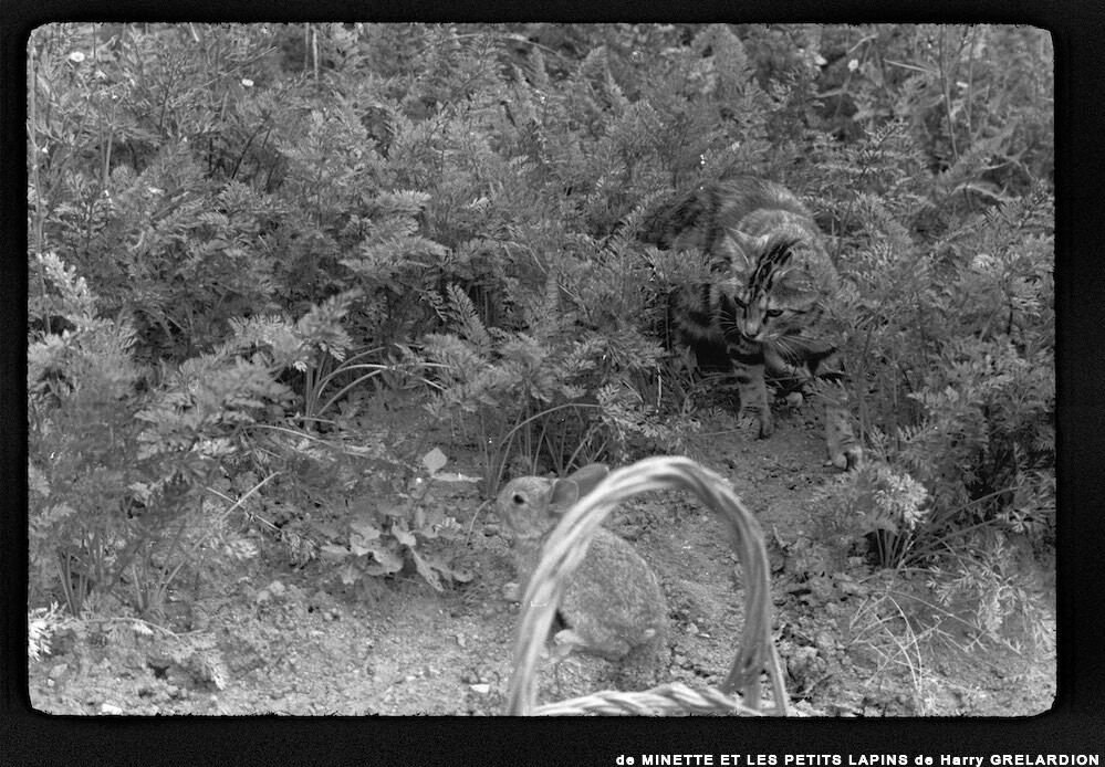 image: This is ‘
MINETTE ET LES PETITS PALINS 8
’.