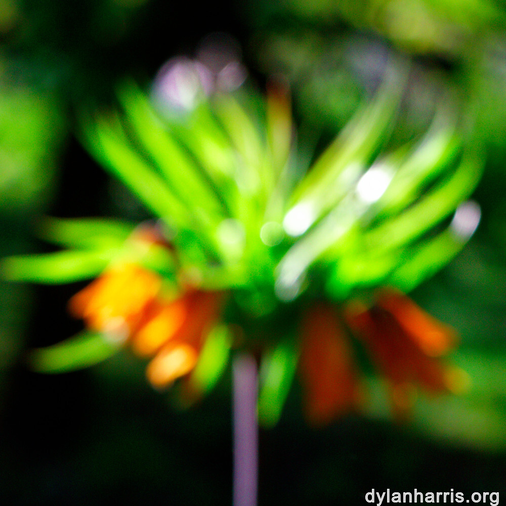 image: This is ‘
wood (xlvii) 2
’.