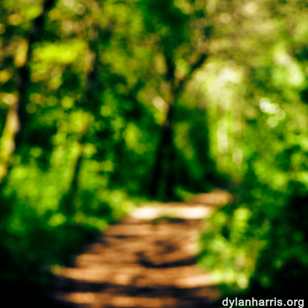 image: This is ‘
wood (xlvii) 3
’.