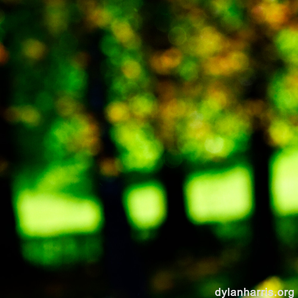 image: This is ‘
wood (xlvii) 4
’.