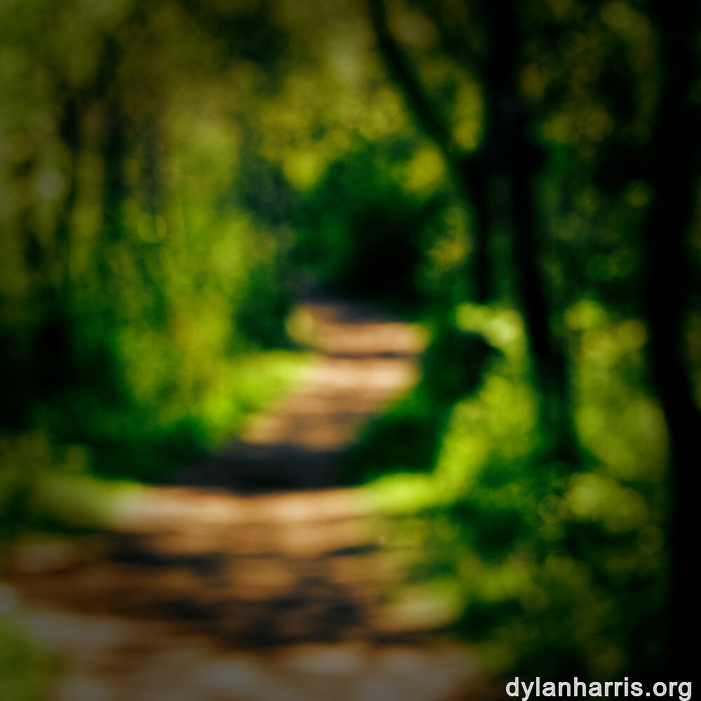 image: This is ‘
wood (xlvii) 6
’.